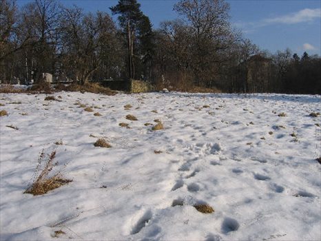 Działka przemysłowo-handlowa na sprzedaż RABKA-ZDRÓJ 1 208m2 Foto 2