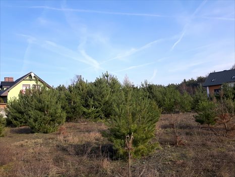 Działka budowlana na sprzedaż Skoki, Tadeusza Kościuszki 1 193m2 Foto 1