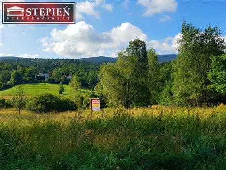 Działka budowlana na sprzedaż Jelenia Góra, Jagniątków 2 783m2 Foto 4