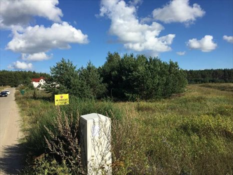 Działka budowlana na sprzedaż Bojano, Bojana 1 300m2 Foto 4