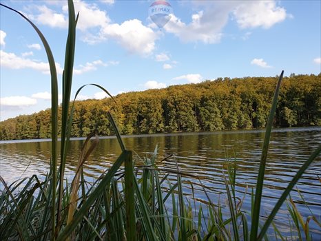 Działka siedliskowa na sprzedaż Sobącz 48 970m2 Foto 7