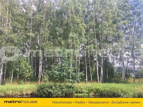 Działka inna na sprzedaż Nadarzyn, Nadarzyn 4 933m2 Foto 2