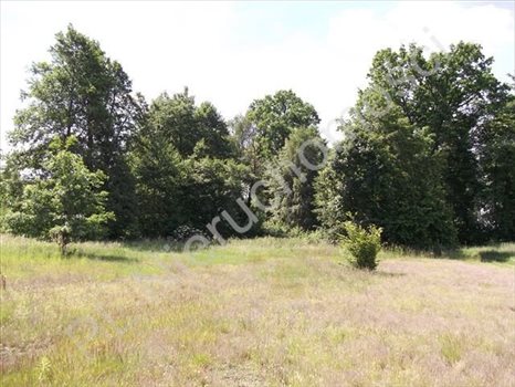 Działka budowlana na sprzedaż Książenice 1 600m2 Foto 1