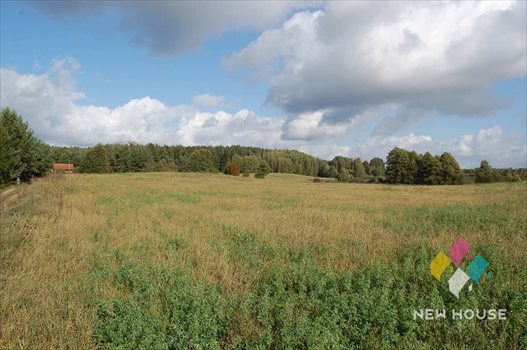 Działka inna na sprzedaż Lamkowo 53 300m2 Foto 4