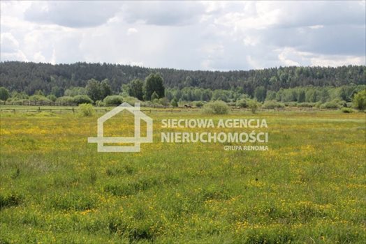 Działka budowlana na sprzedaż Lubowidz 1 066m2 Foto 4