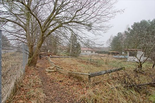 Działka budowlana na sprzedaż Tanowo 1 195m2 Foto 2