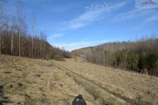 Działka rekreacyjna na sprzedaż Babice 2 400m2 Foto 10