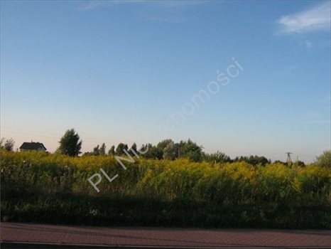 Działka inna na sprzedaż Pruszków 975m2 Foto 1