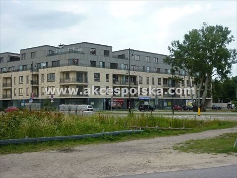 Działka budowlana na sprzedaż Warszawa, Wilanów, Rzodkiewki 2 350m2 Foto 5