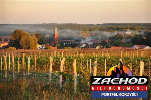 Działka budowlana na sprzedaż Przytok 22 600m2 Foto 12