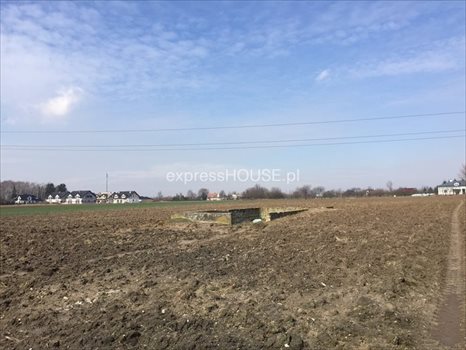 Działka budowlana na sprzedaż Abramowice Prywatne 8 503m2 Foto 3