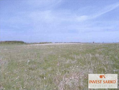 Działka inna na sprzedaż Połchowo, Ul.Pucka 39 800m2 Foto 4