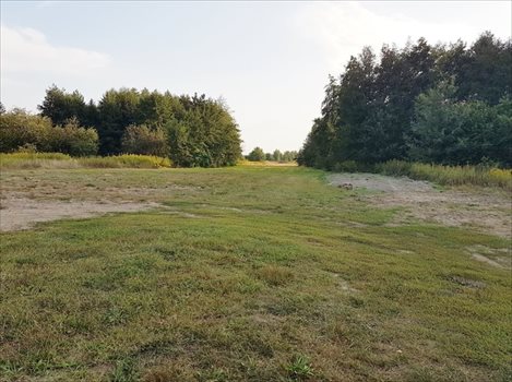 Działka budowlana na sprzedaż Słupno 7 100m2 Foto 2