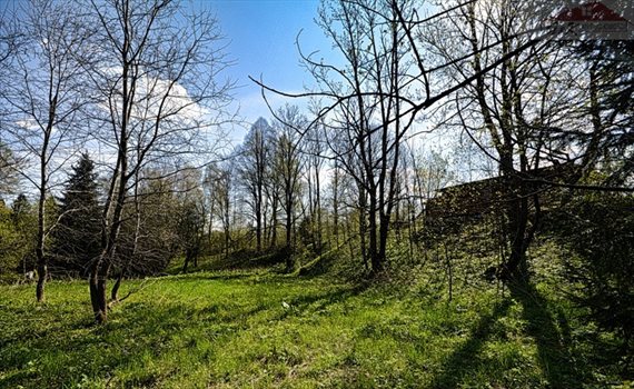 Działka inna na sprzedaż Przysłup 2 079m2 Foto 9