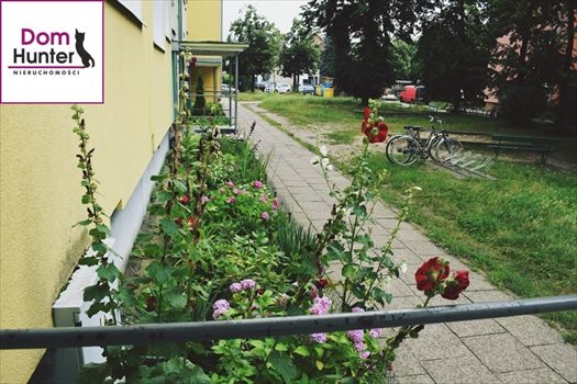 Mieszkanie dwupokojowe na sprzedaż Gdańsk, Żabianka, Jakuba Wejhera 32m2 Foto 6