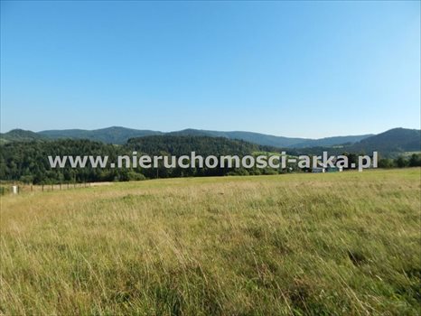 Działka budowlana na sprzedaż Wilczyce 700m2 Foto 1