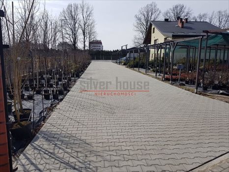 Lokal użytkowy na sprzedaż Radzymin 330m2 Foto 2