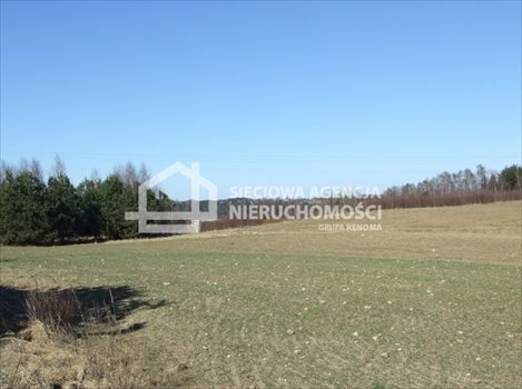 Działka budowlana na sprzedaż Ramleje 1 186m2 Foto 4
