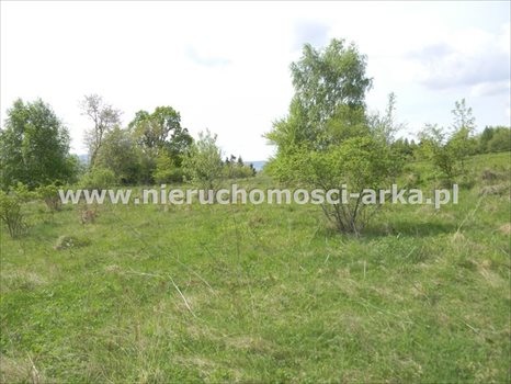 Działka budowlana na sprzedaż Limanowa 2 200m2 Foto 1
