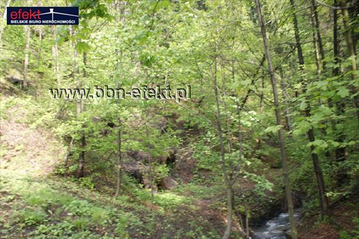 Działka rekreacyjna na sprzedaż Kozy 1 600m2 Foto 9