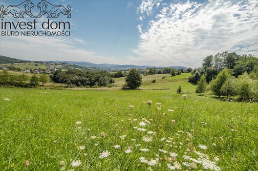 Działka budowlana na sprzedaż Bystra 6 000m2 Foto 4