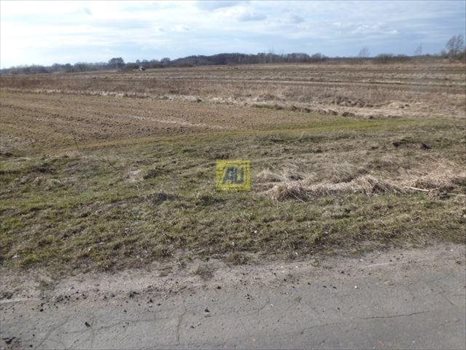Działka rolna na sprzedaż Konstancin Jeziorna, Bielawa 3 900m2 Foto 2