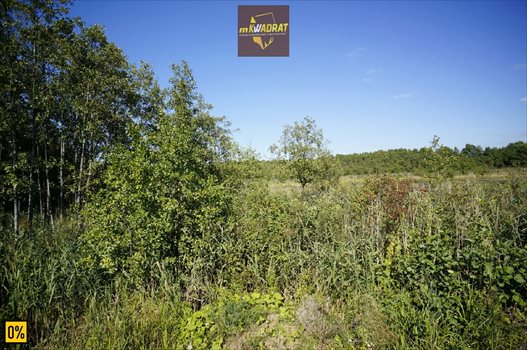 Działka rekreacyjna na sprzedaż Barany 3 001m2 Foto 6