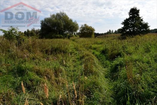 Działka inna na sprzedaż Gudowo, Jezioro, Kościół, Las, Plac zabaw, Przystanek auto 7 892m2 Foto 12