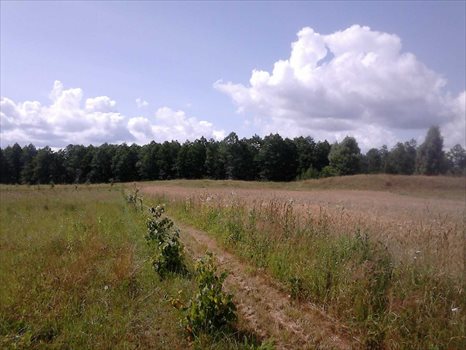 Działka budowlana na sprzedaż Pogorzelec 1 535m2 Foto 2