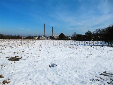 Działka budowlana na sprzedaż Głowno 4 400m2 Foto 3