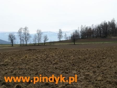 Działka budowlana na sprzedaż polska, Łomnica, Łomnica 3 118m2 Foto 6