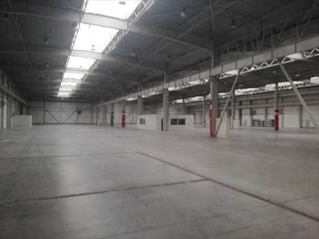 Lokal użytkowy na wynajem Bydgoszcz, ul. Hermana Frankego 3 700m2 Foto 3