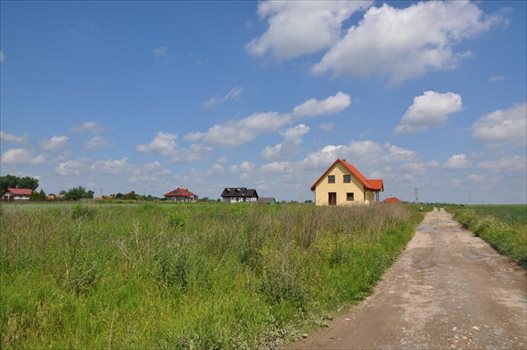 Działka budowlana na sprzedaż Rogów Sobócki, Szkolna 1 731m2 Foto 4