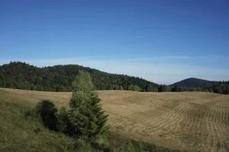 Działka rolna na sprzedaż Kołonice, Bieszczady 112 900m2 Foto 2