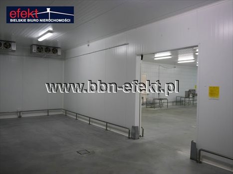 Lokal użytkowy na sprzedaż Rybarzowice 1 880m2 Foto 7