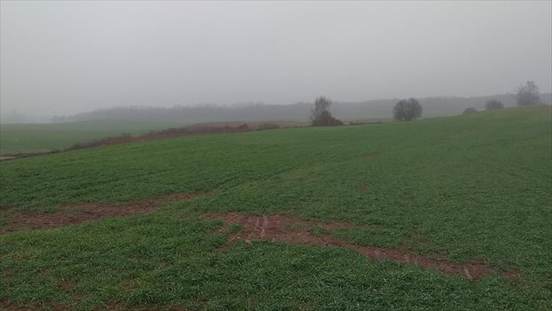 Działka gospodarstwo rolne na sprzedaż Bartąg 7 000 000m2 Foto 6