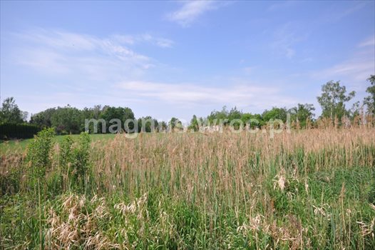 Działka komercyjna na sprzedaż Zębice 2 846m2 Foto 3