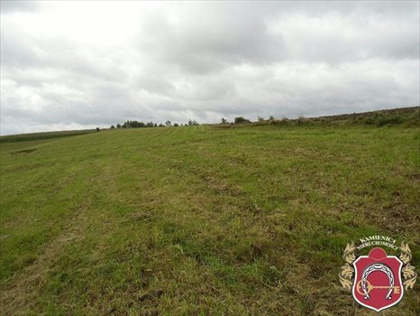 Działka budowlana na sprzedaż Donimierz, Otalerzyńska 30 333m2 Foto 4
