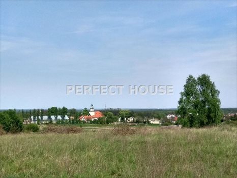 Działka budowlana na sprzedaż Poznań, Morasko 4 942m2 Foto 4
