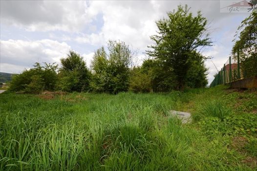 Działka budowlana na sprzedaż Ostrów 3 800m2 Foto 5