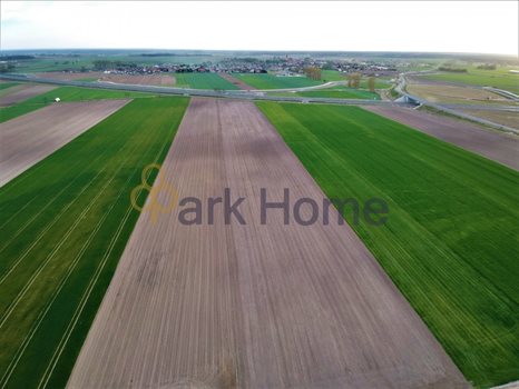 Działka inwestycyjna na sprzedaż Leszno 3 000m2 Foto 6