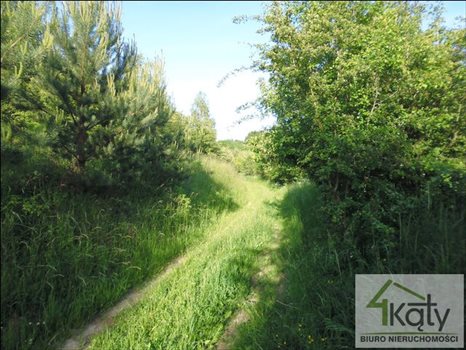 Działka budowlana na sprzedaż Jemiołowo, Jemiołowo, Jemiołowo 19 300m2 Foto 7