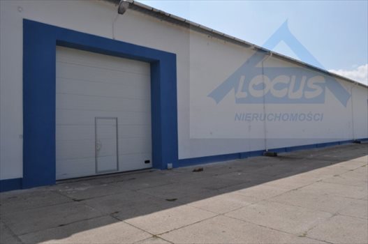 Lokal użytkowy na sprzedaż Nowy Konik 2 300m2 Foto 1