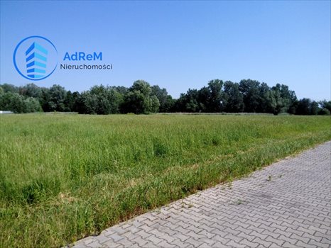 Działka budowlana na sprzedaż Warszawa, Wilanów, Ruczaj 1 200m2 Foto 2