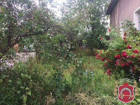 Działka budowlana na sprzedaż Gdynia, okolice Spokojnej 541m2 Foto 4
