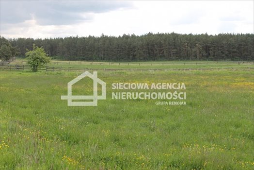 Działka budowlana na sprzedaż Lubowidz 1 066m2 Foto 8