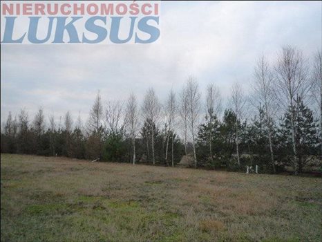 Działka budowlana pod dzierżawę Biały Ług, Biały Ług 12 300m2 Foto 13