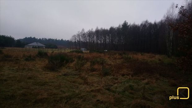 Działka budowlana na sprzedaż Orzesze, Woszczyce, Palowicka 900m2 Foto 5