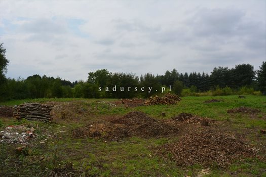 Działka budowlana na sprzedaż Kraków, Dębniki, Kliny, Spacerowa 2 609m2 Foto 7