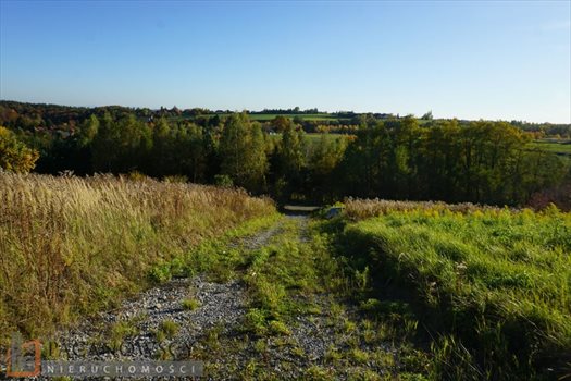 Działka budowlana na sprzedaż Wierzchowie 1 200m2 Foto 2